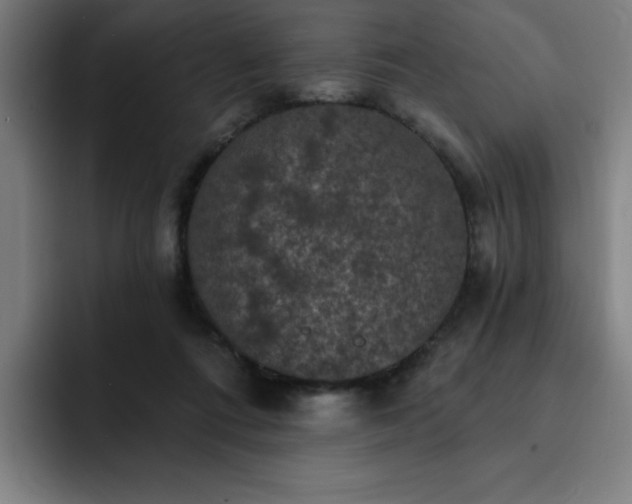 X0000092320312200709211334