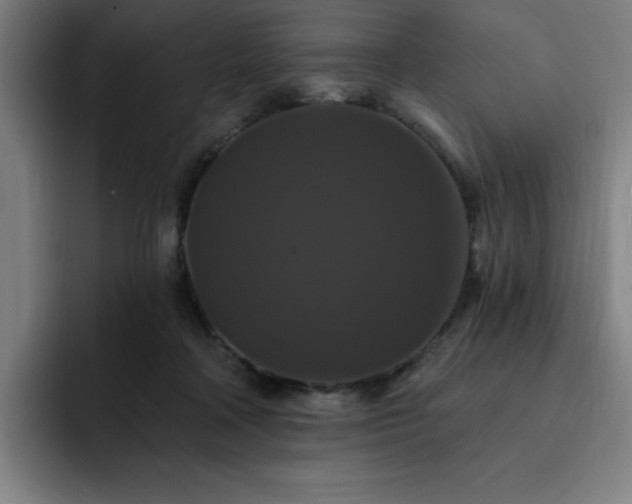 X0000092320314200709211334