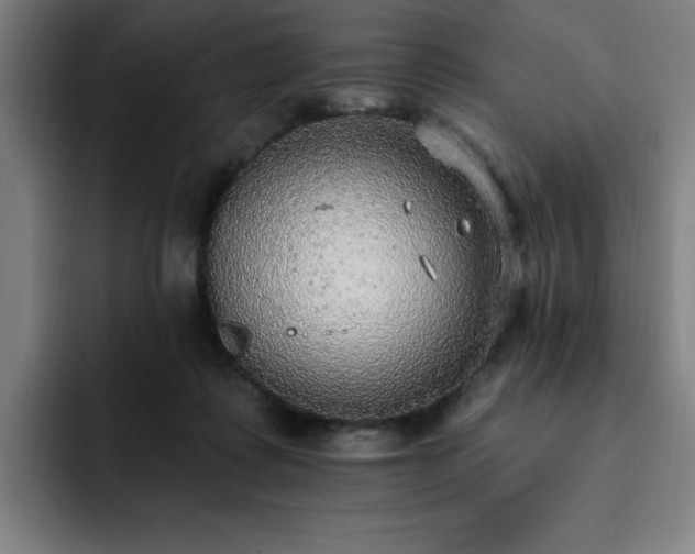 X0000092320315200709211334