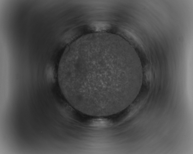 X0000092320316200709211334