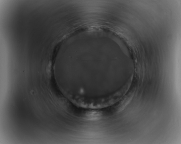 X0000092320319200709211334