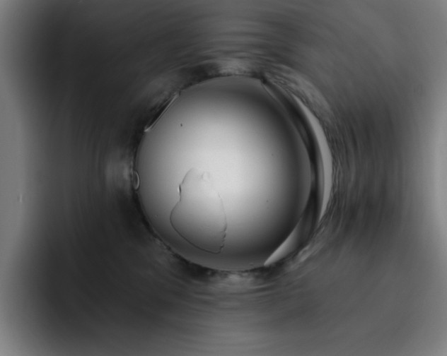 X0000092320329200709211334