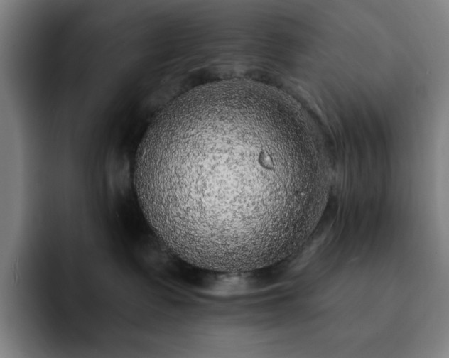 X0000092320335200709211334