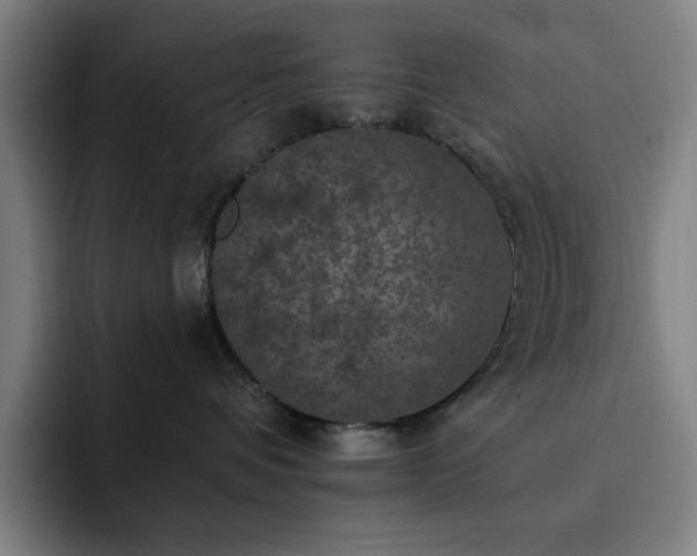 X0000092320336200709211334