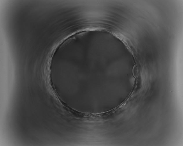 X0000092320337200709211333