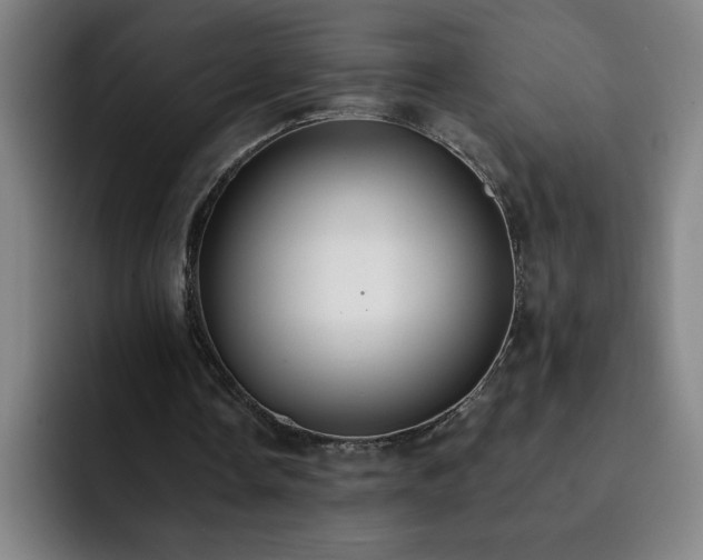 X0000092320338200709211333