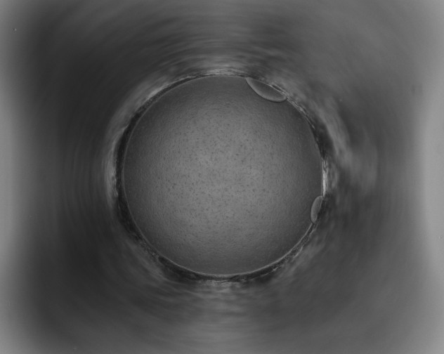 X0000092320339200709211333