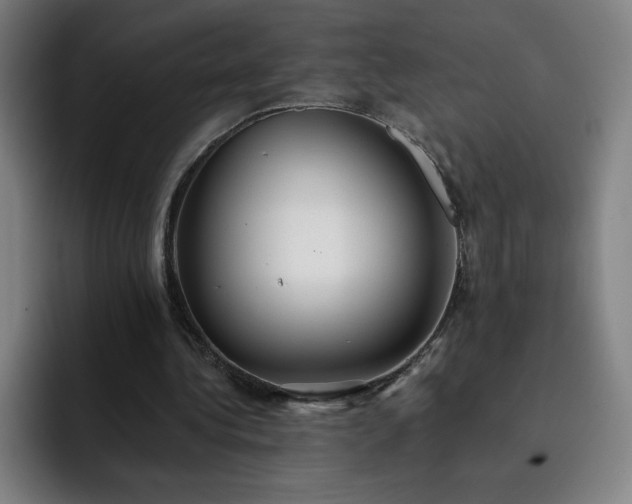 X0000092320340200709211333