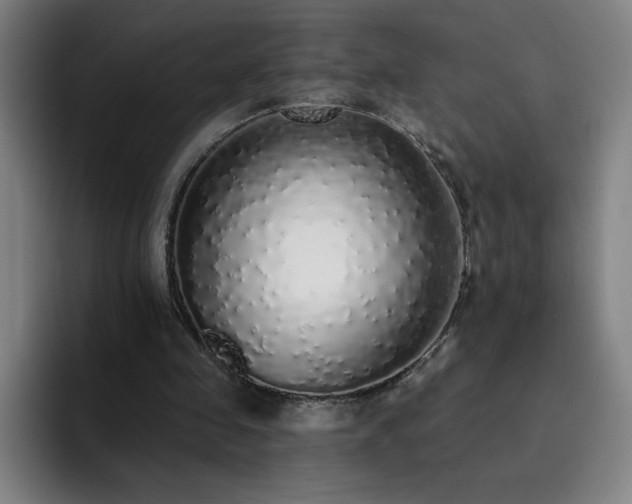X0000092320341200709211333