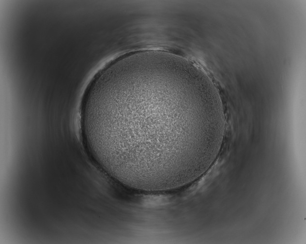 X0000092320342200709211333