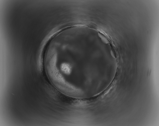 X0000092320343200709211333