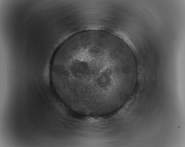 X0000092320346200709211333