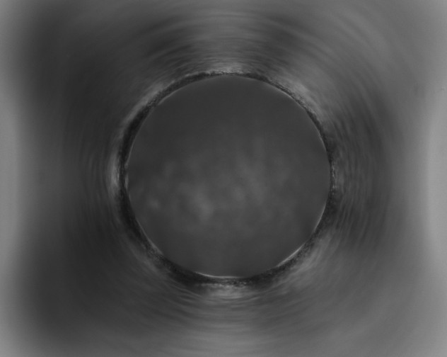 X0000092320347200709211333