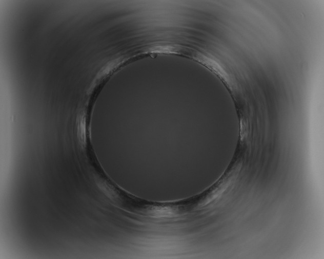 X0000092320349200709211333