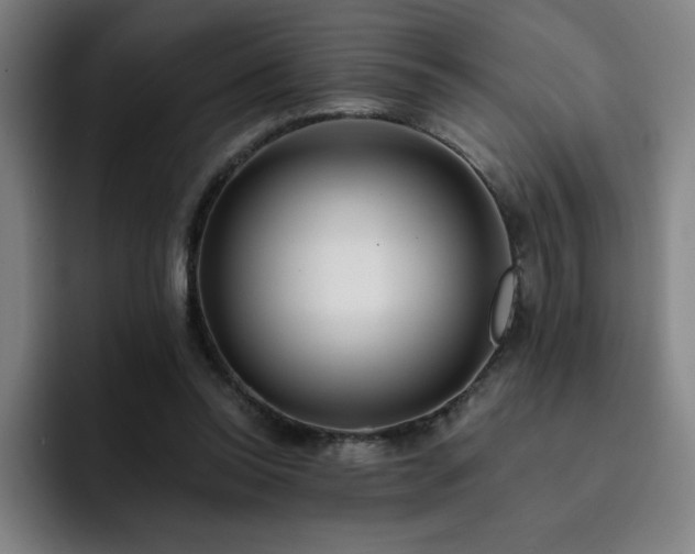 X0000092320350200709211333
