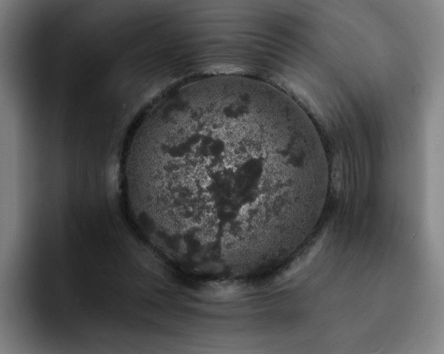 X0000092320351200709211333