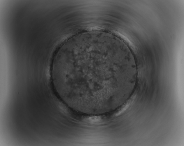 X0000092320353200709211333
