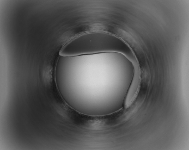 X0000092320356200709211333