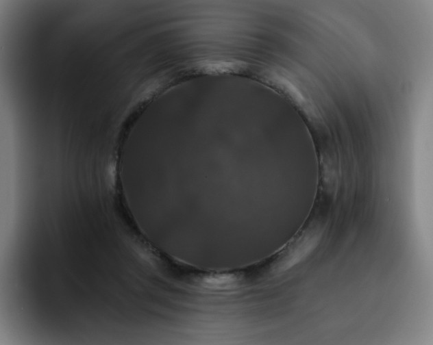 X0000092320357200709211333