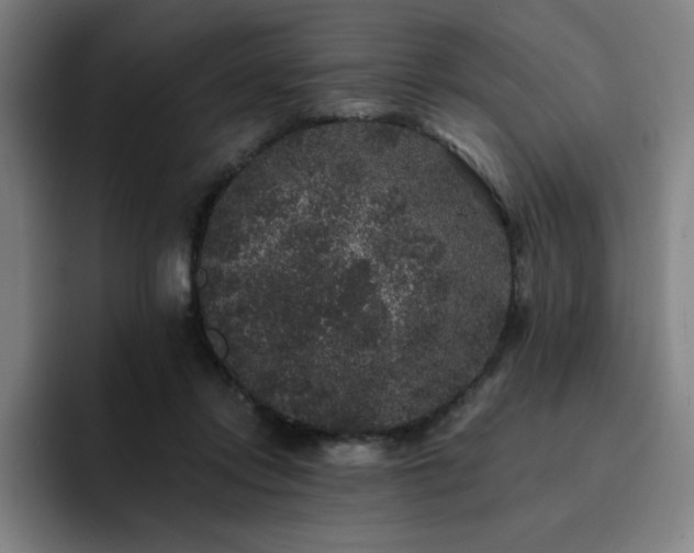 X0000092320358200709211333