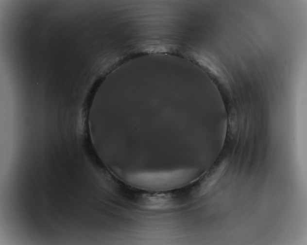 X0000092320359200709211333