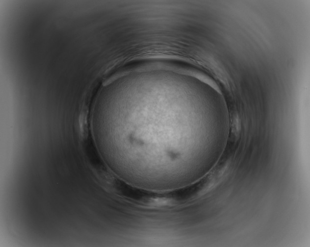 X0000092320360200709211333