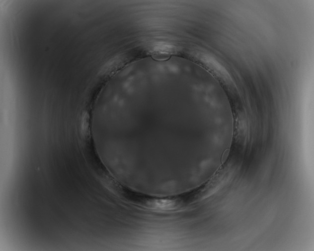 X0000092320361200709211333