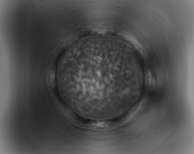 X0000092320365200709211333
