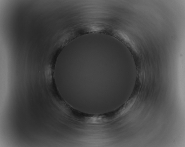 X0000092320366200709211333