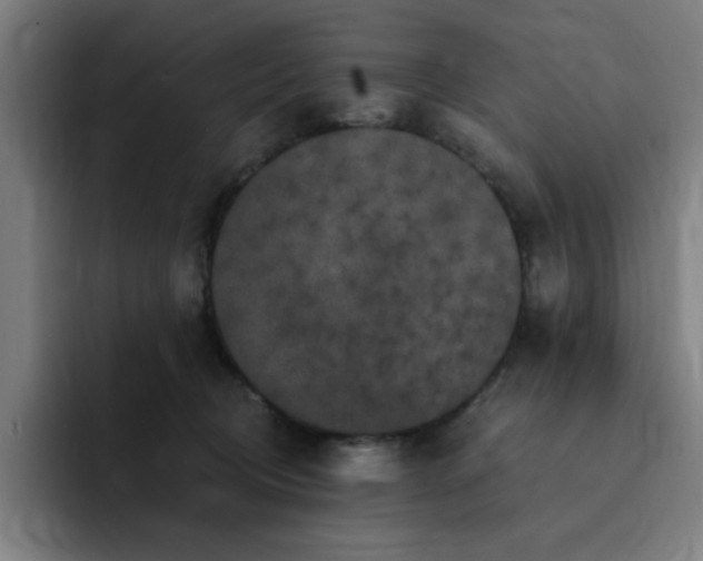 X0000092320370200709211334