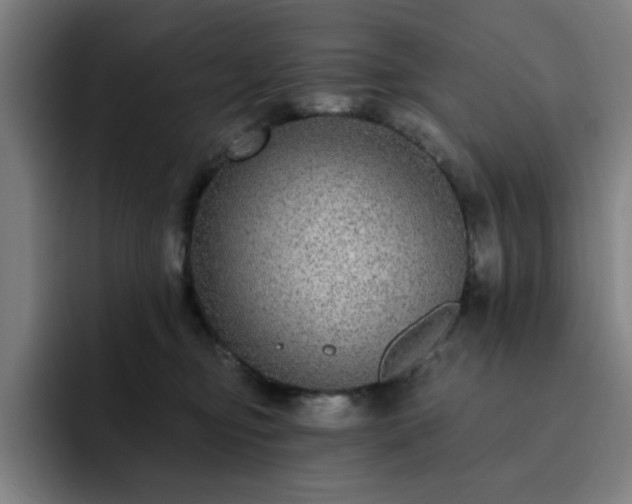 X0000092320374200709211334