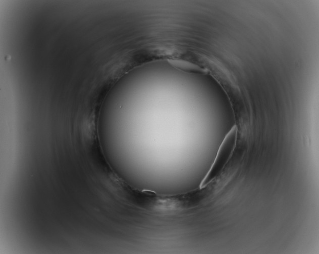 X0000092320376200709211334