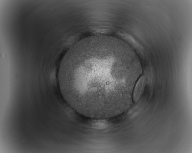 X0000092320377200709211334