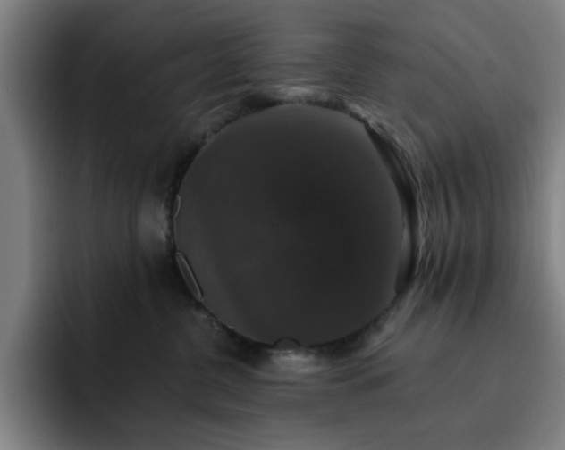 X0000092320380200709211334