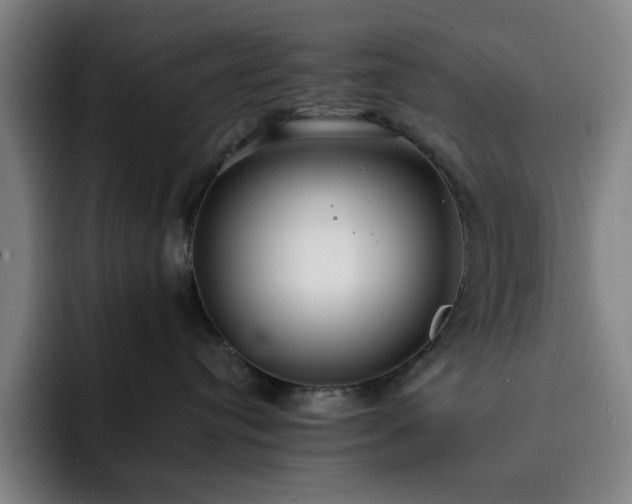 X0000092320384200709211334