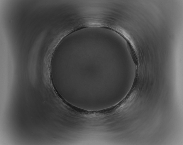 X0000092320385200709211333