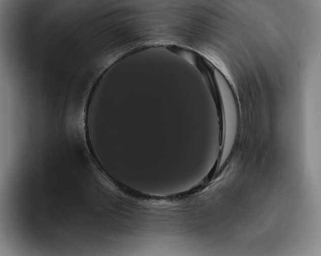 X0000092320389200709211333