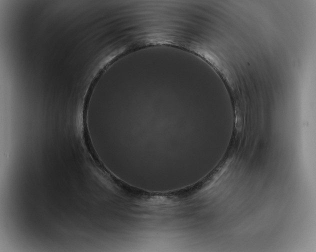 X0000092320390200709211333