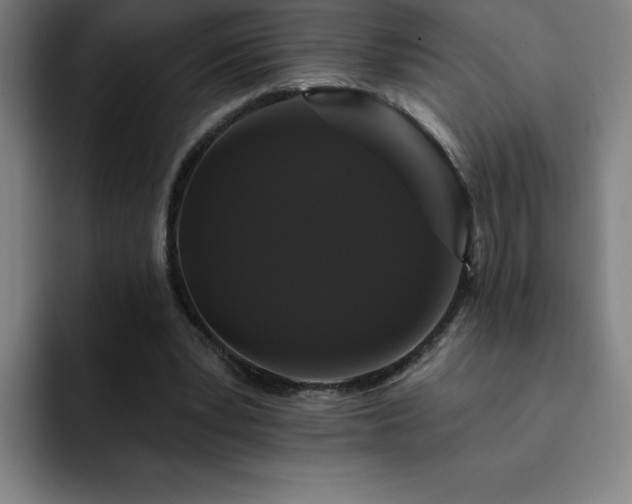 X0000092320391200709211333