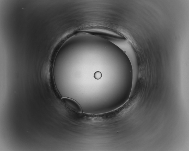 X0000092320395200709211333