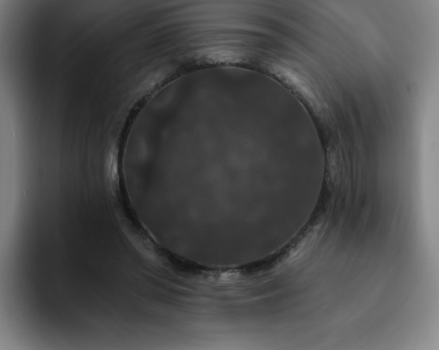 X0000092320398200709211333