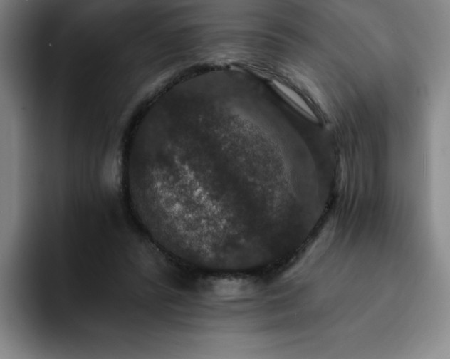 X0000092320400200709211333
