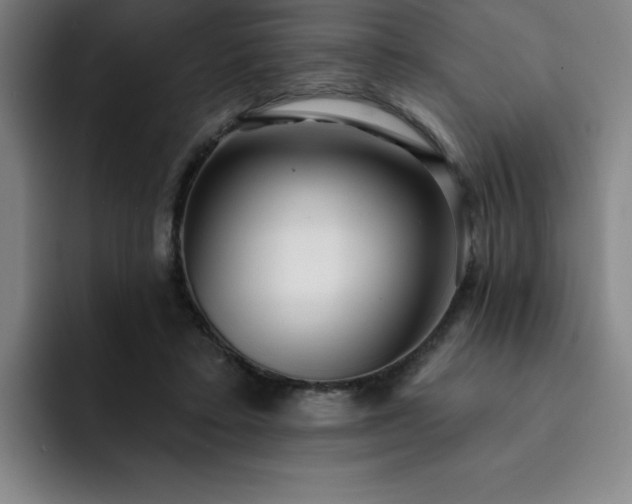 X0000092320403200709211333