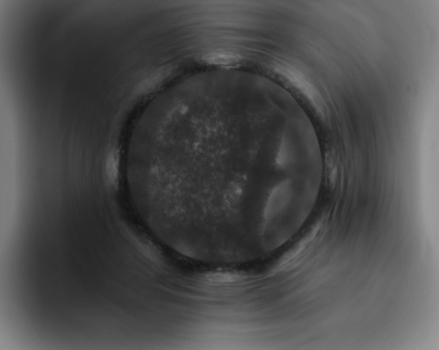 X0000092320404200709211333