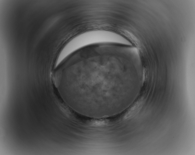 X0000092320405200709211333