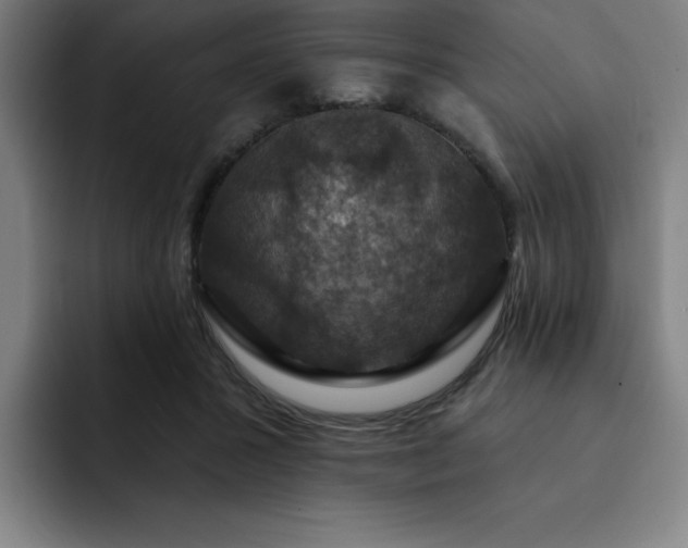 X0000092320407200709211333