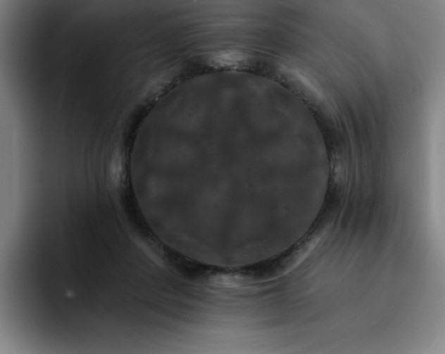 X0000092320408200709211333