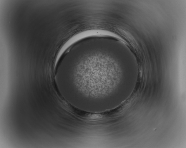 X0000092320409200709211333