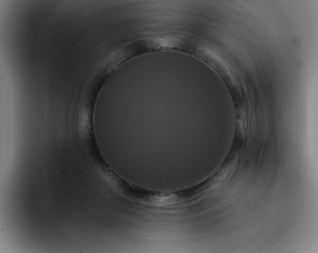 X0000092320410200709211333