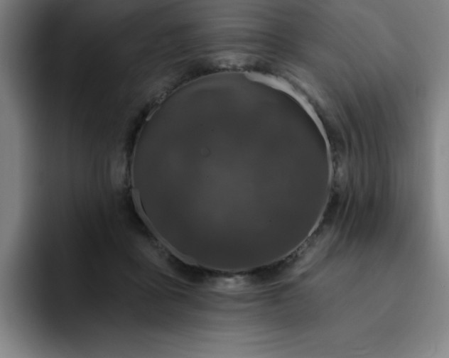 X0000092320411200709211333